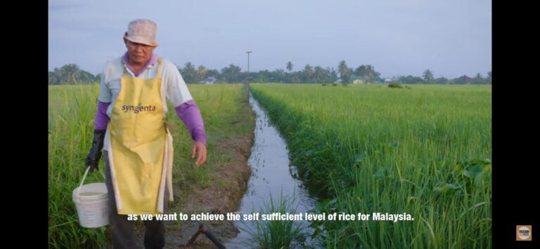 Petani Bukan Pemalas: Menyelami dilema pembekal makanan utama negara