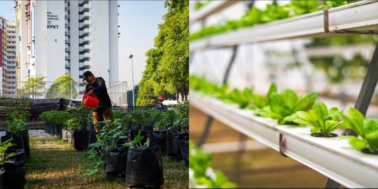 Rancangan Buku Hijau terus relevan, tidak mustahil untuk bertani di bandar