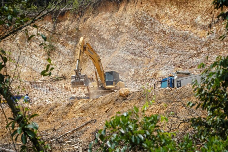 Hutan masih lagi dijajah, merdekakah kita? (Bahagian 2)