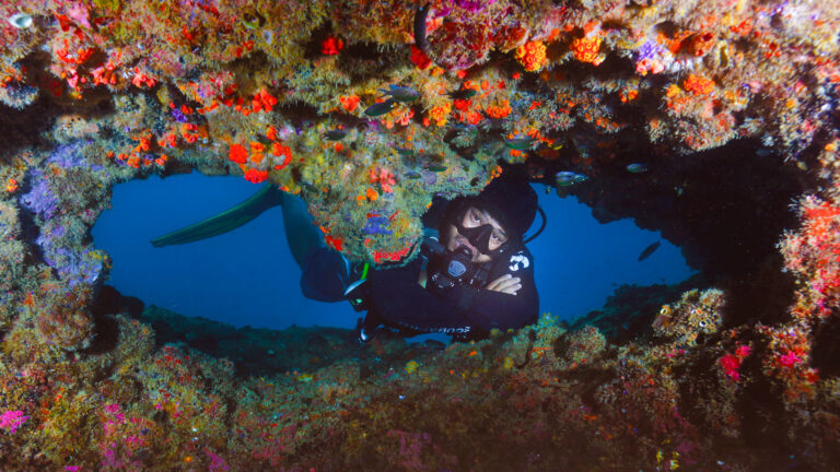 Keindahan dunia bawah laut Irwan Ismail