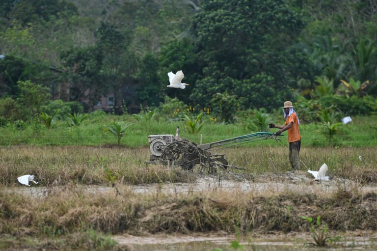 CPTPP jejas sektor pertanian, FKMM bidas jawapan Timbalan Menteri