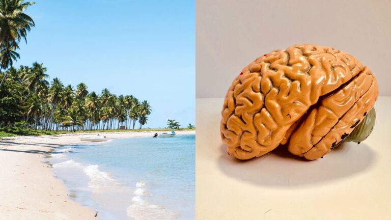 Vacation brain: Beri ruang dan masa otak bercuti untuk kurangkan tekanan