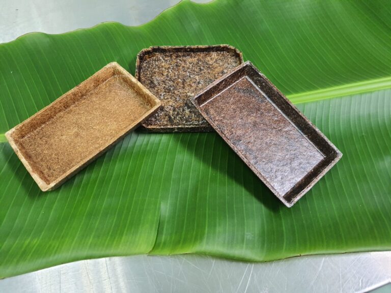 Bekas plastik mesra alam daripada ubi kayu dan daun pisang