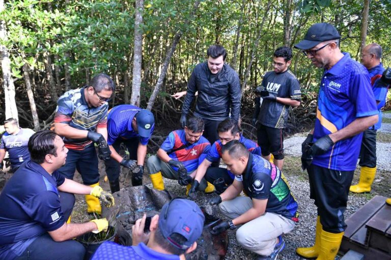 Tanam bakau, semai rasa sayang pada alam