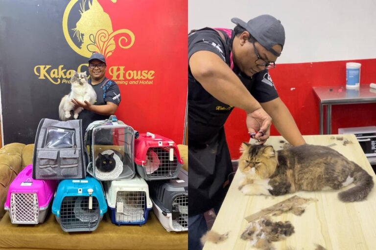 Dandan kucing di pasar jadi lebih cantik, kenangan paling manis