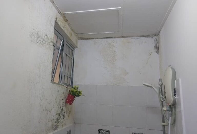 Jangan pandang ringan kulat di dinding rumah, bersihkan agar paru-paru terjaga