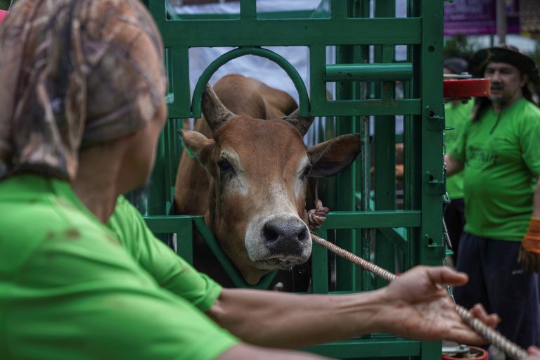 Hukum sembelih waktu malam, binatang cacat dan sedekah bahagian tanpa penama