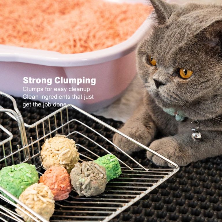 Pasir Kucing SOAR Tofu: Pilihan terbaik untuk pemilik kucing yang sibuk