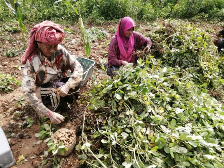 Perkasa semula program keusahawanan 1K1P