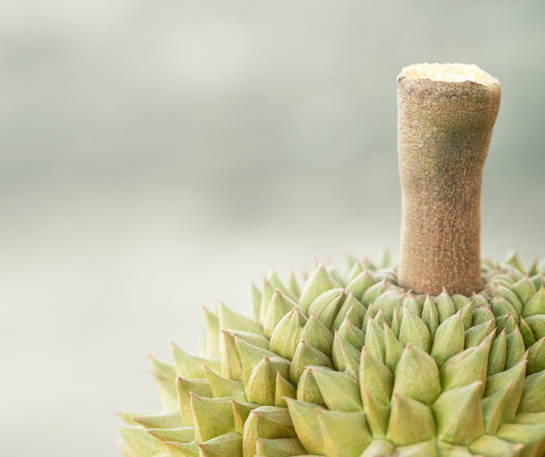 Elak makanan ini jika sedang haus